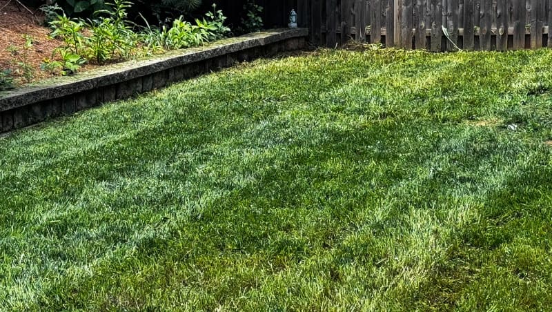 Spencer's Lawn Care — A Route-Based Cut That Shows Up When It's Supposed To