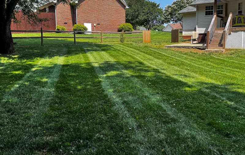 Spencer's Lawn Care — Had a Good Experience?