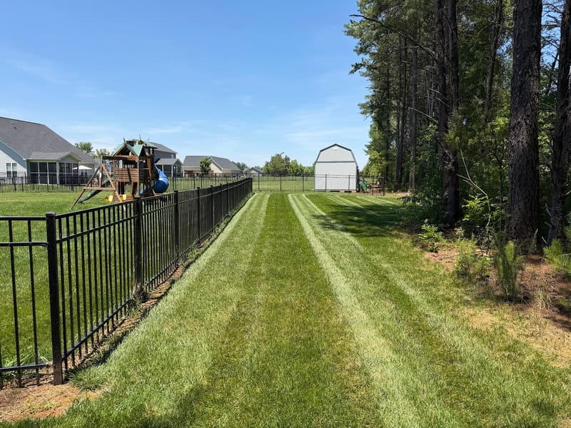 Spencer's Lawn Care — Give Thin, Compacted Turf a Real Reset