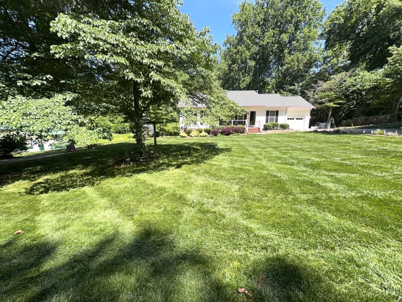 Spencer's Lawn Care work in Mount Holly, NC — photo 21