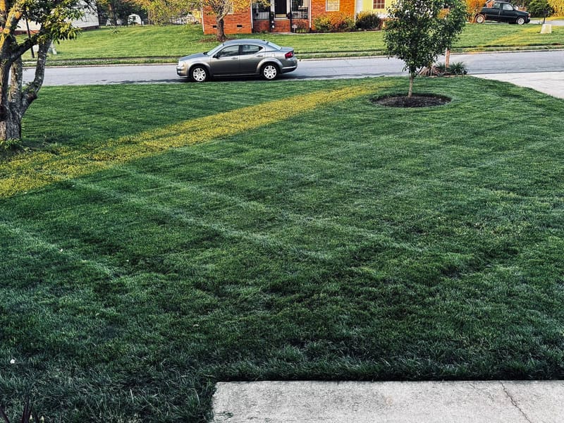 Spencer's Lawn Care work in Mount Holly, NC — photo 23