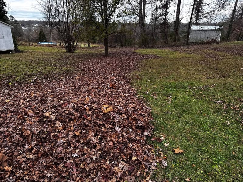 Spencer's Lawn Care — Blown to the Curb — Not Bagged and Left in Your Yard